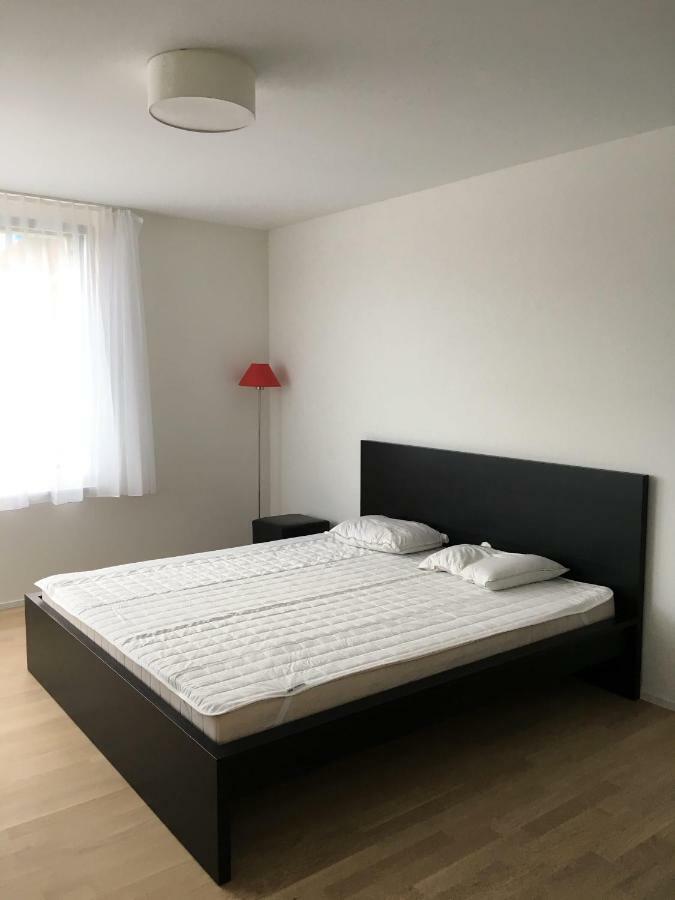 Close To Zuerich Centre And Airport 克洛滕 外观 照片